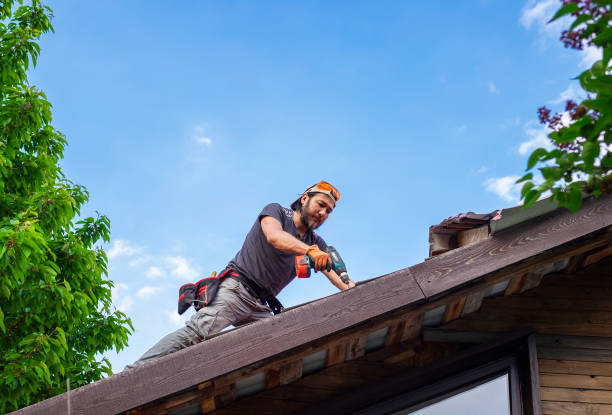Trusted Licking, MO Roofing services Experts